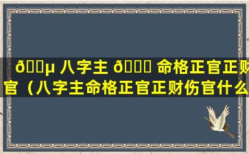 🌵 八字主 🕊 命格正官正财伤官（八字主命格正官正财伤官什么意思）